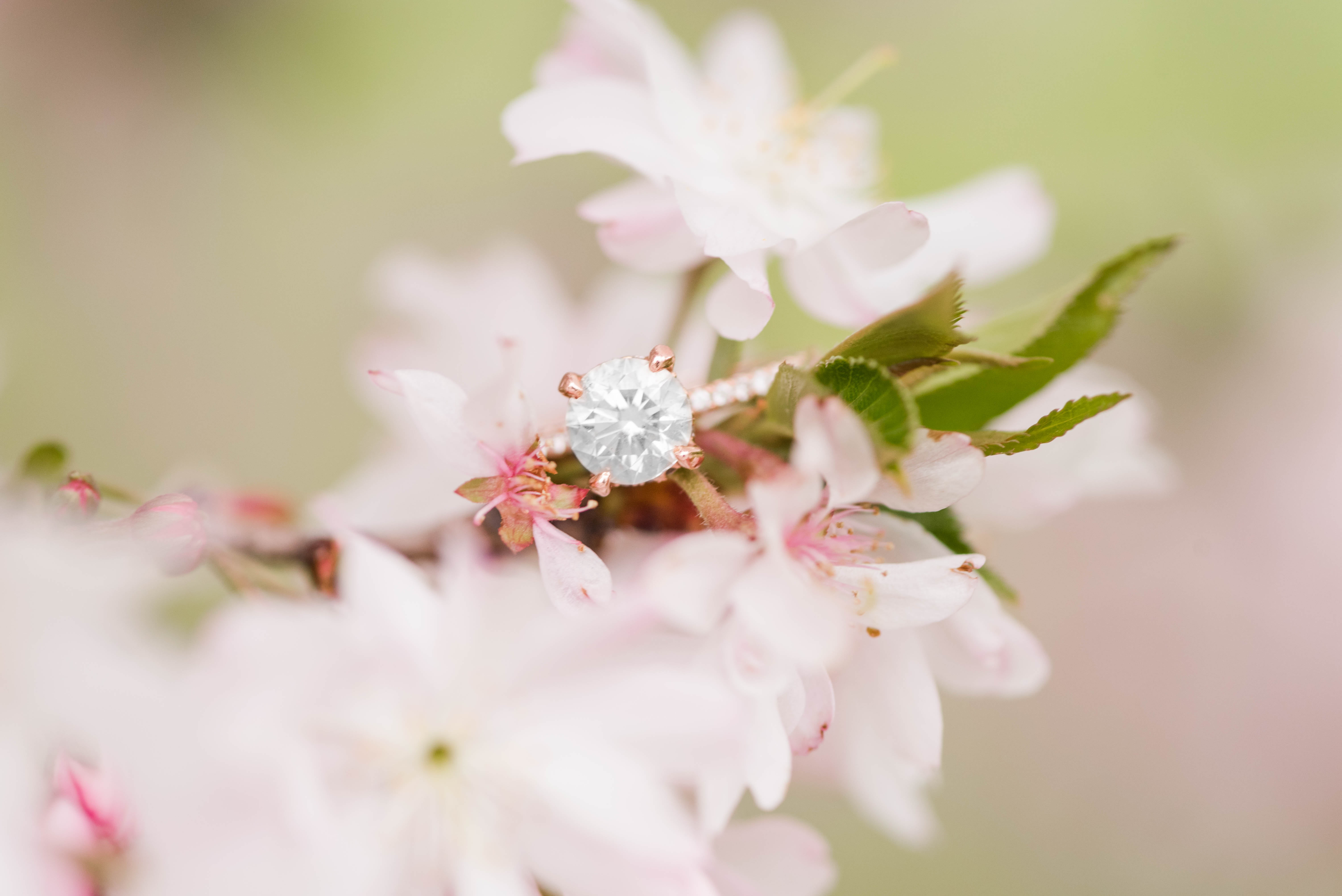 Spring Engagement Session at Goodale Park, Sweet Williams Photography, Columbus Ohio